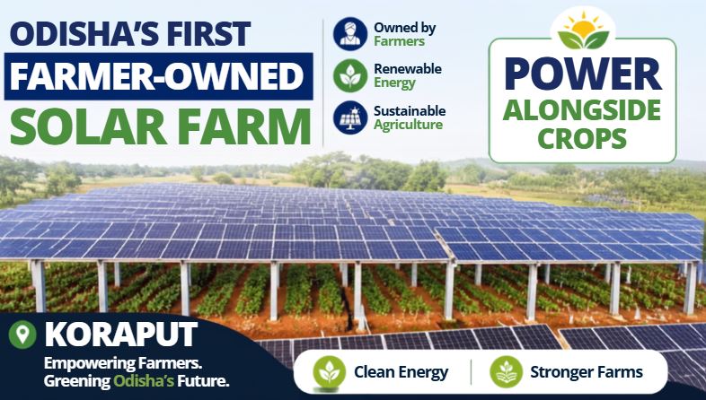 Odisha's first farmer-owned solar farm to generate power alongside crops in Koraput